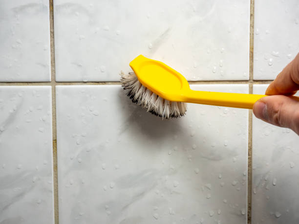 Best Black Mold Removal  in Garrett, TX