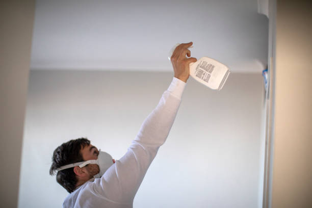 Best Same-Day Mold Removal  in Garrett, TX