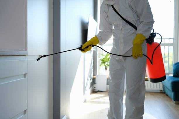 Best Mold Removal Near Me  in Garrett, TX