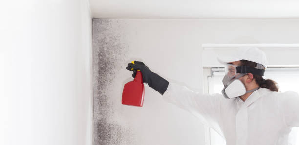 Best Toxic Mold Removal  in Garrett, TX