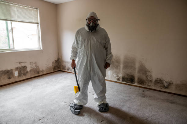 Best Same-Day Mold Removal  in Garrett, TX