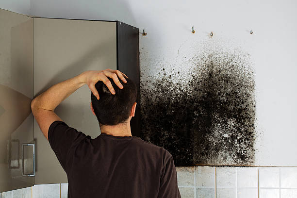 Office Mold Removal Services in Garrett, TX