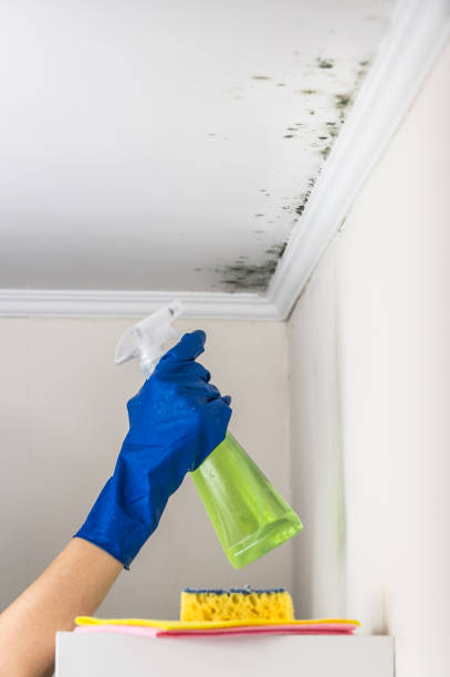 Best Emergency Mold Removal  in Garrett, TX